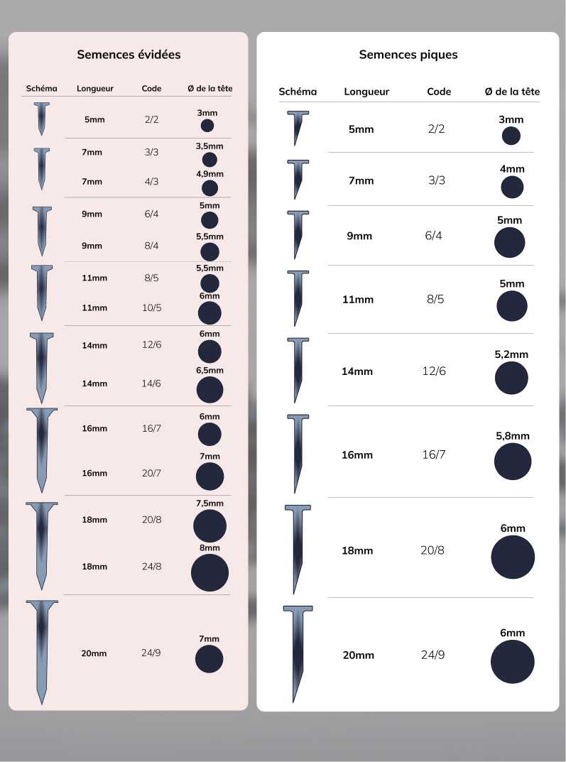 comparatif semences